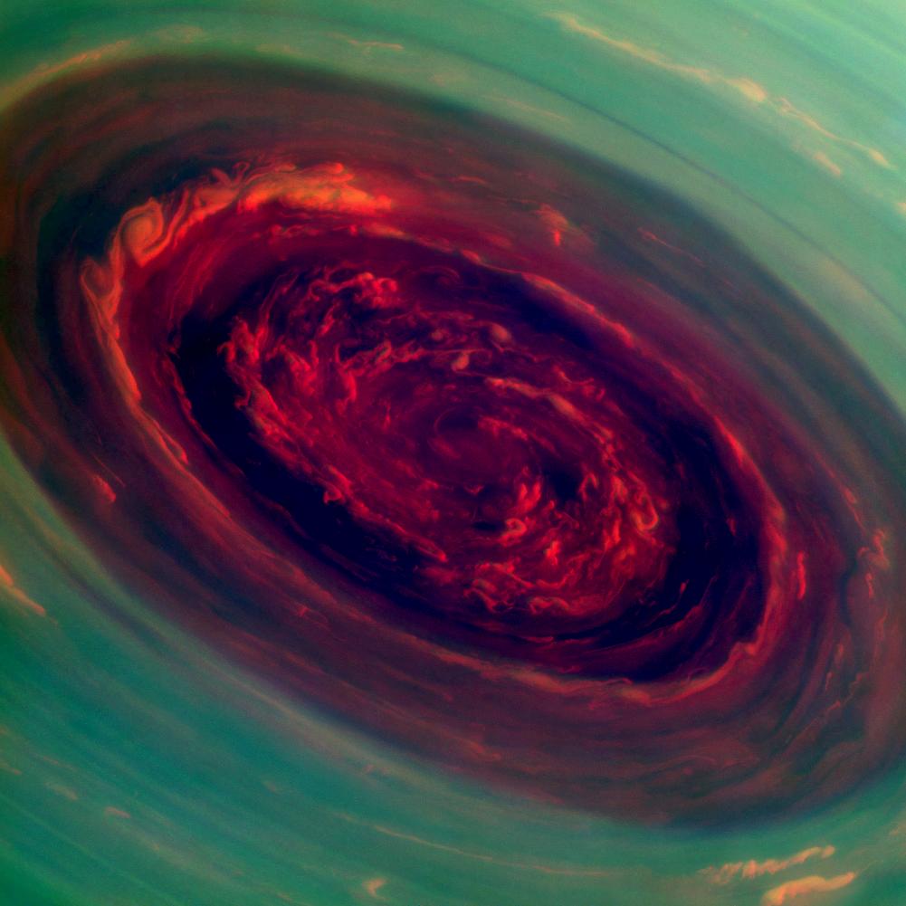 Saturn: The Rose